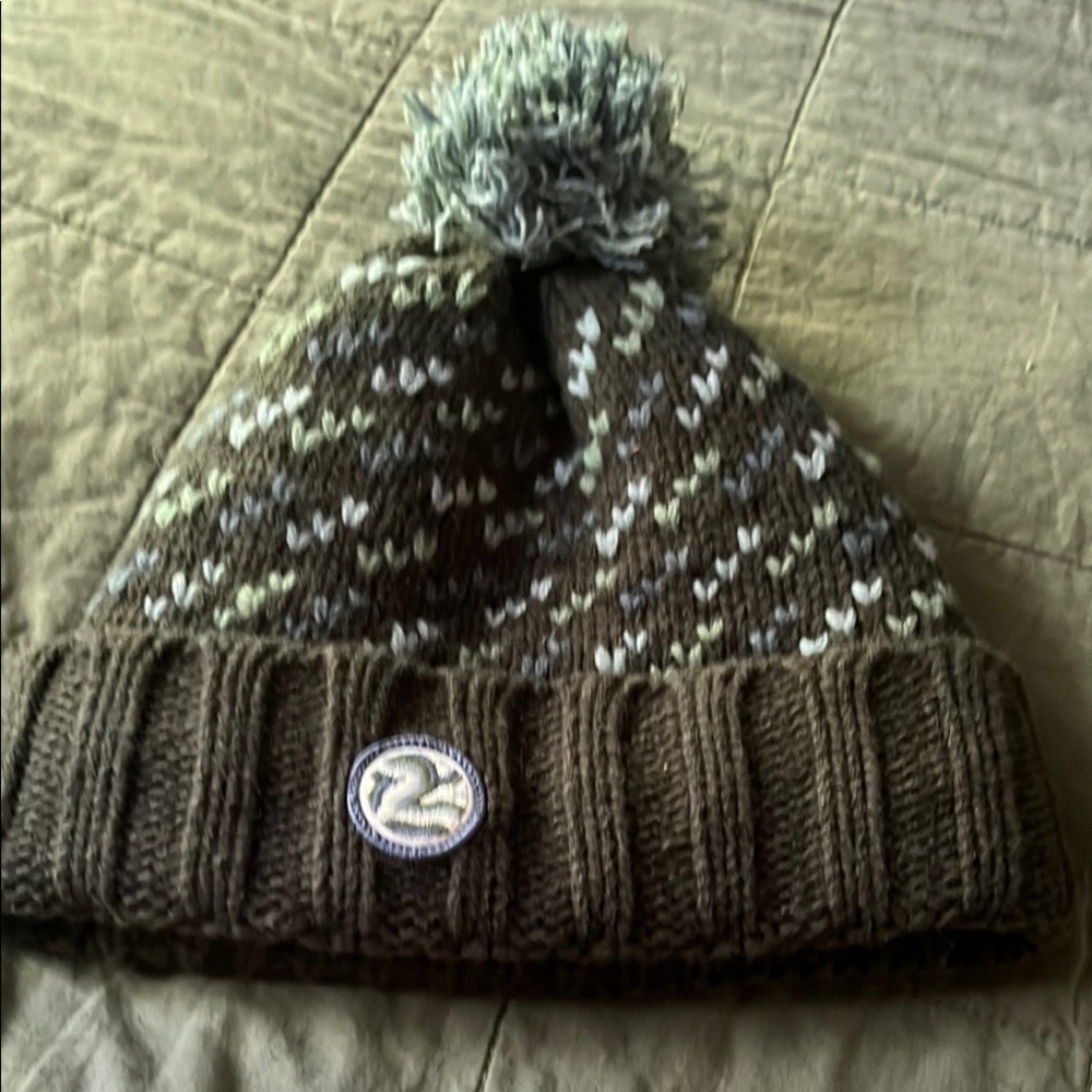 Patagonia winter hat in shades of green